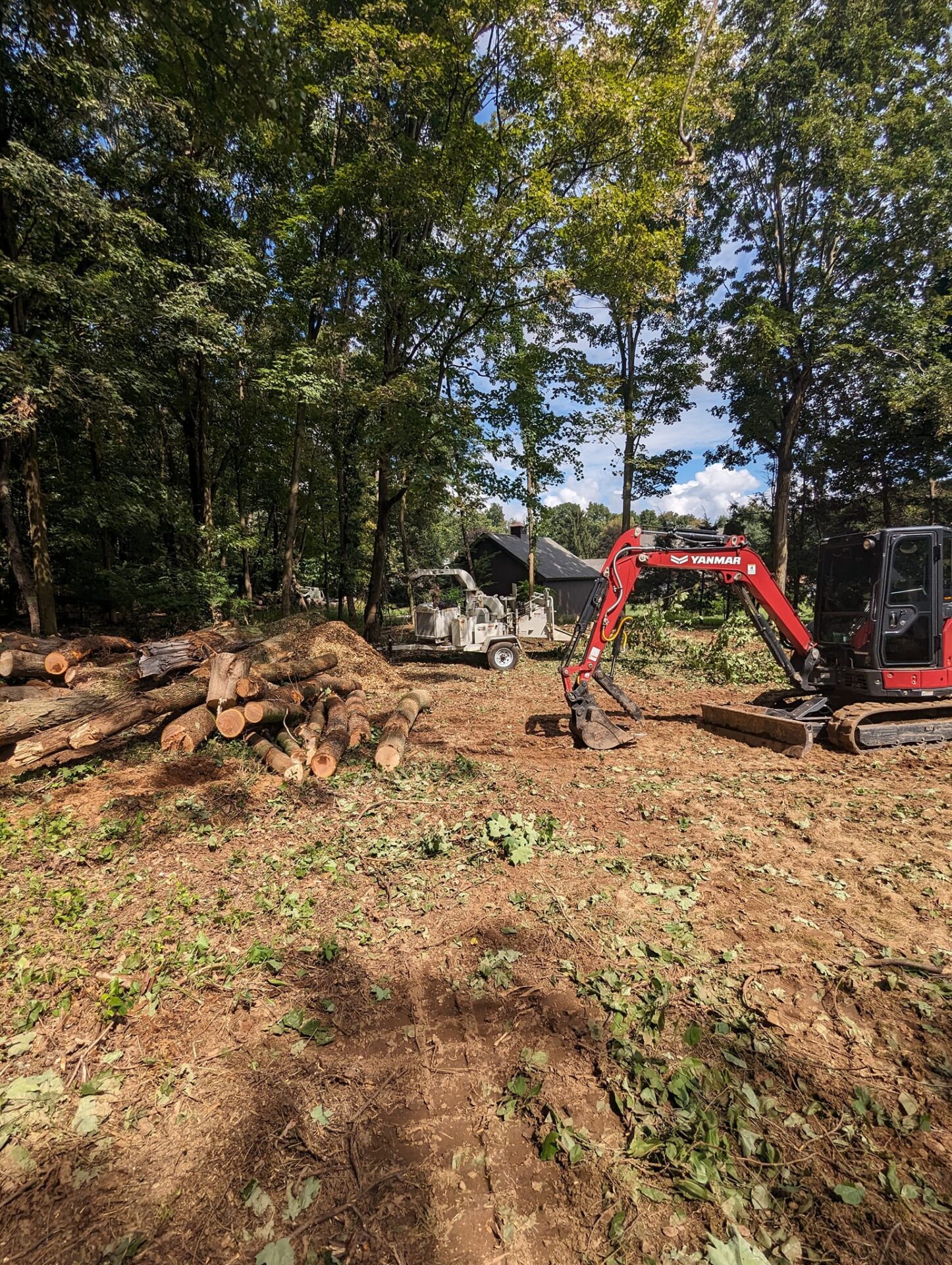 Land Clearing USA tree 2 Land clearing site in progress with Yanmar excavator, wood chipper, and felled logs – USA Tree Services equipment on-site in Connecticut