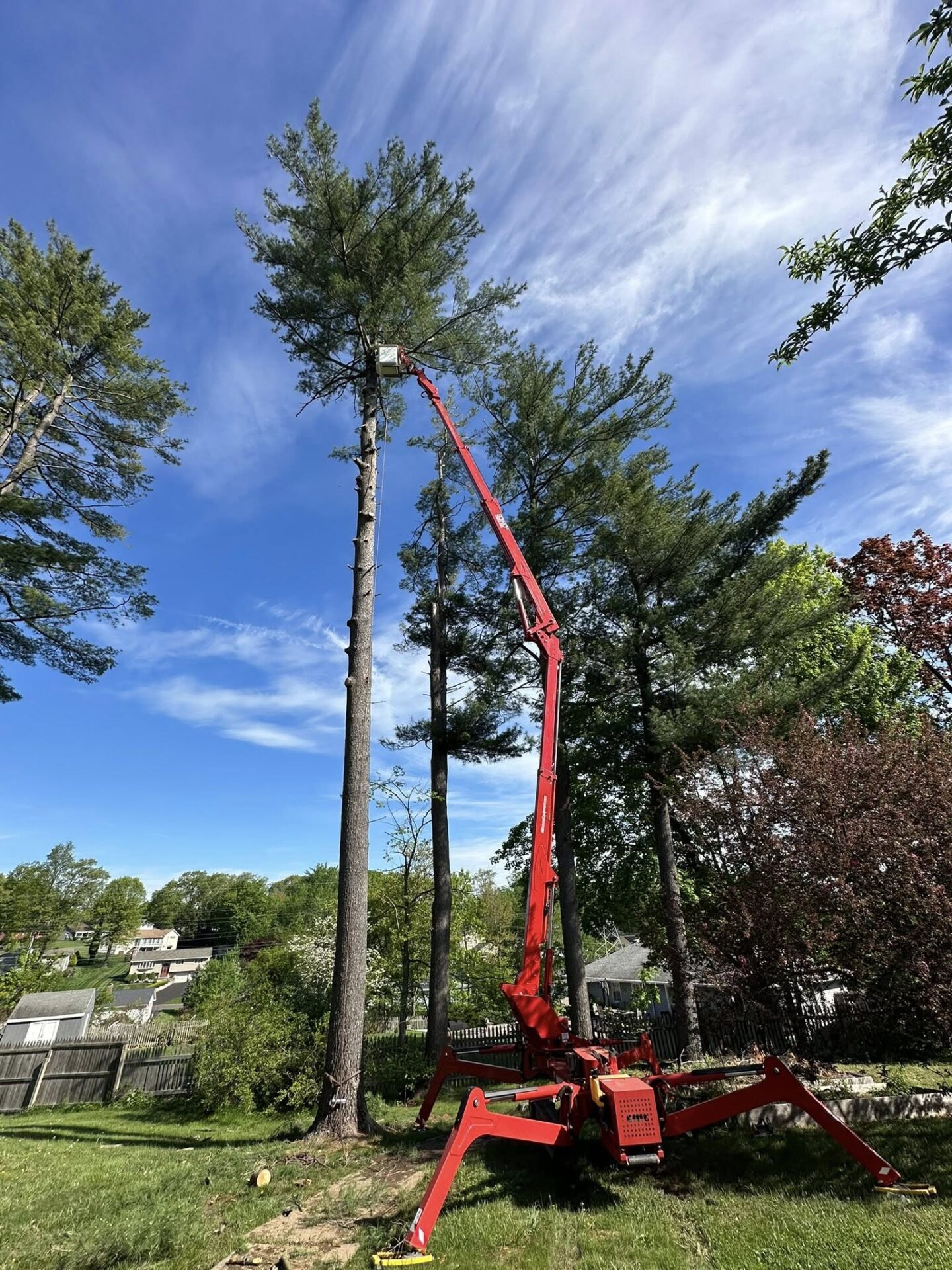 Berlin Spiderlift USA Tree Services crew using a spider lift for precision tree removal in a residential neighborhood in Berlin, CT