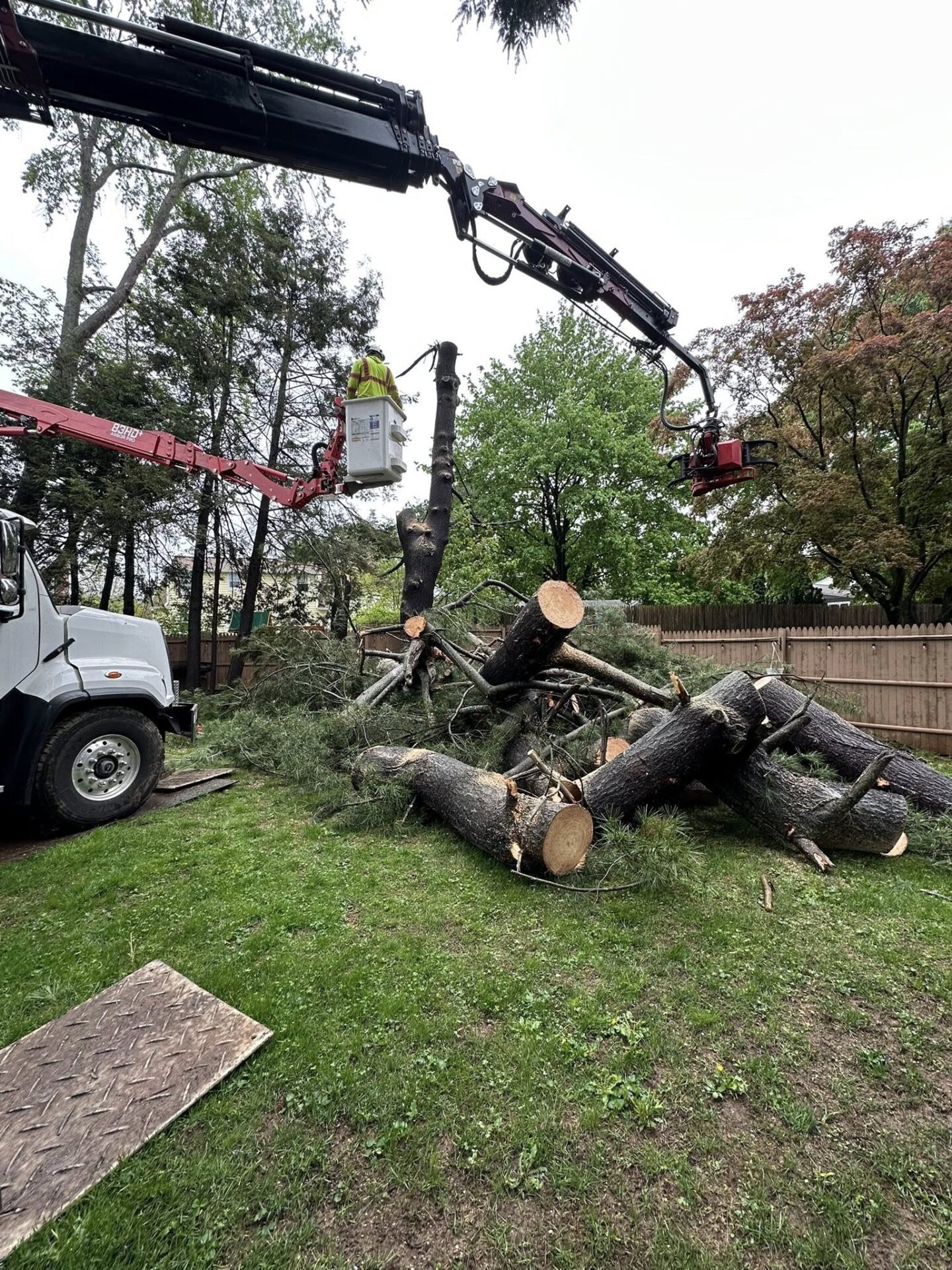 Crane in Berlin USA Tree Services crew using a crane and bucket truck to remove large pine trees from a residential backyard in Berlin, CT