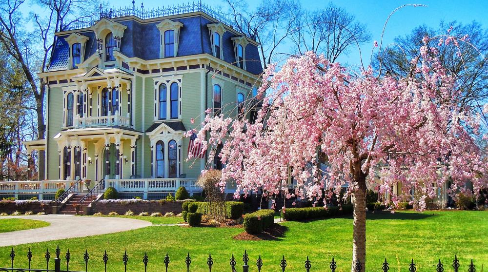 Spring arrives at the Silas Robbins House in Old Wethersfield, CT Historic Victorian home with blooming cherry blossoms in Wethersfield, CT during spring